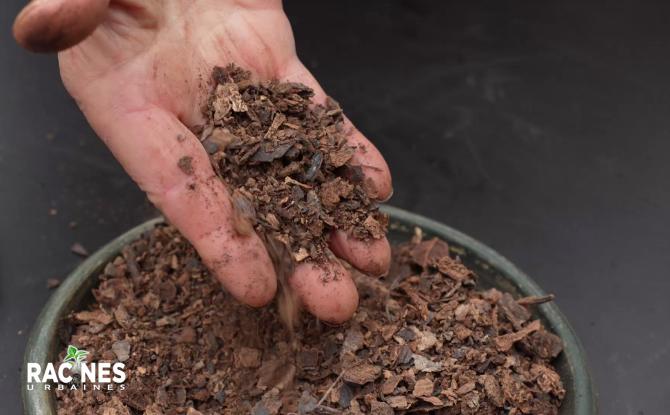 Les secrets des fertilisants