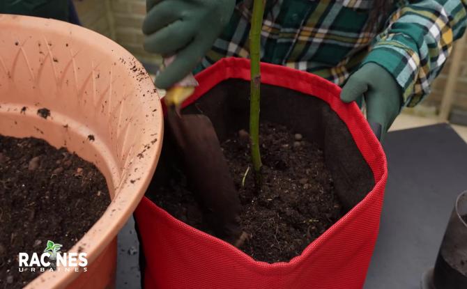 Les sacs de plantation, solution innovante pour l'éco jardinage urbain