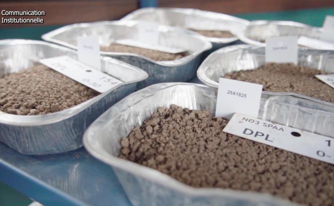 L'essor des analyses de sol et les légumes bio