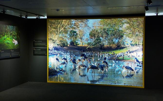 Exposition National Geographic à Liège-Guillemins