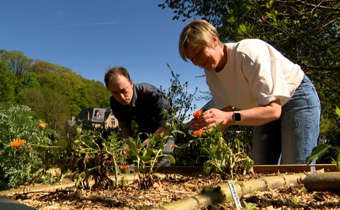 Une nouvelle étoile verte au Guide Michelin