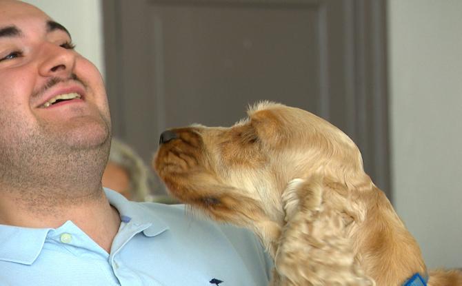 Vaincre la peur des chiens avec ID Pattes