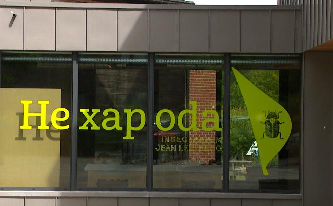 Hexapoda présente son nouveau jardin entomologique