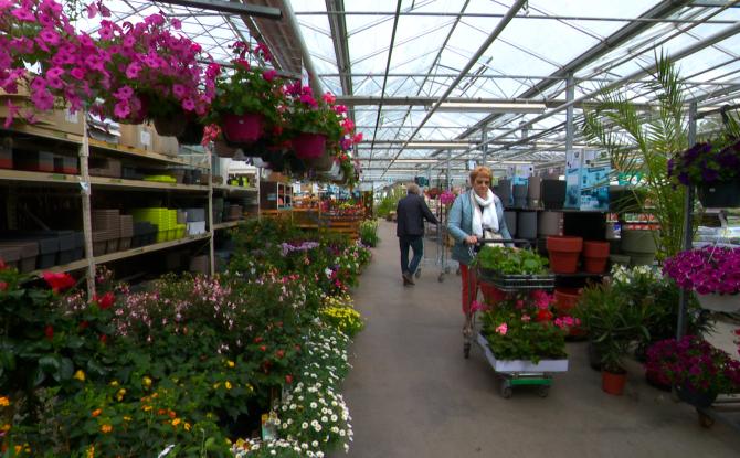 Horticulture : la saison bat son plein