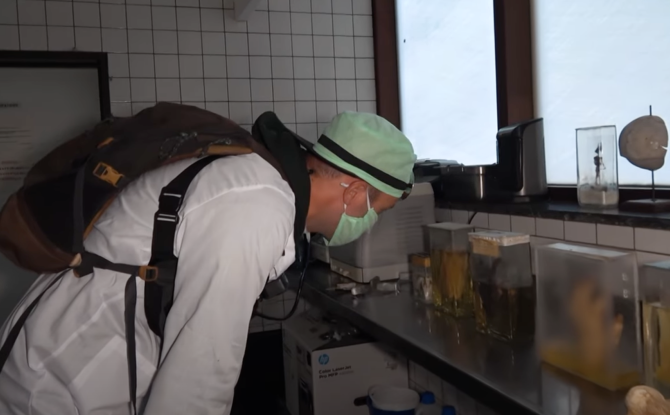 Deux hommes s'introduisent dans l'institut médico-légal de Liège: l'ULiège dépose plainte