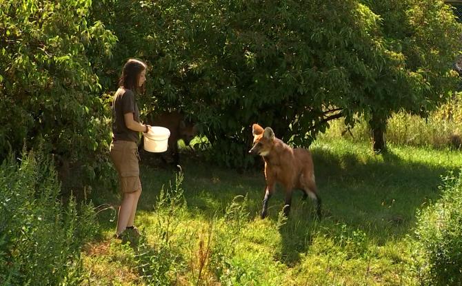 Métier passion : soigneuse dans un parc animalier