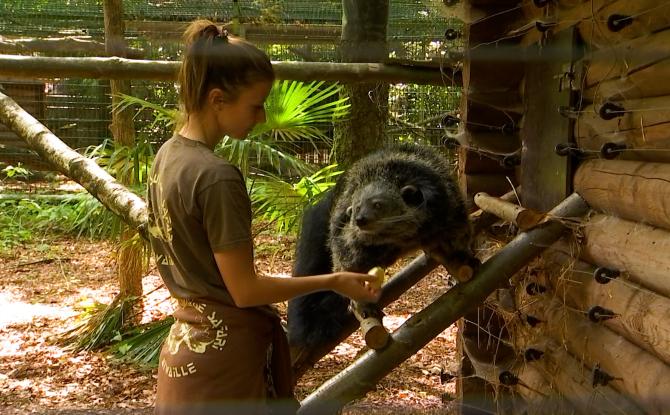 Monde Sauvage : les coups de coeur d'Abélia