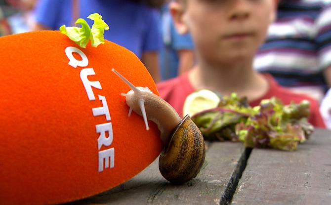 Les escargots font le show pour la fête nationale
