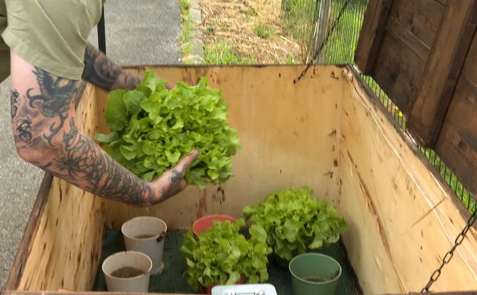 À Oupeye, des légumes en libre-service en échange d'un euro