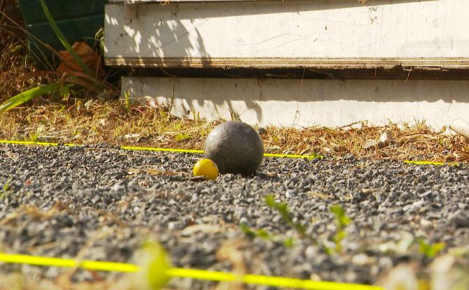 Pétanque : le plus gros tournoi tête-à-tête 4 boules de Belgique est à Huy !