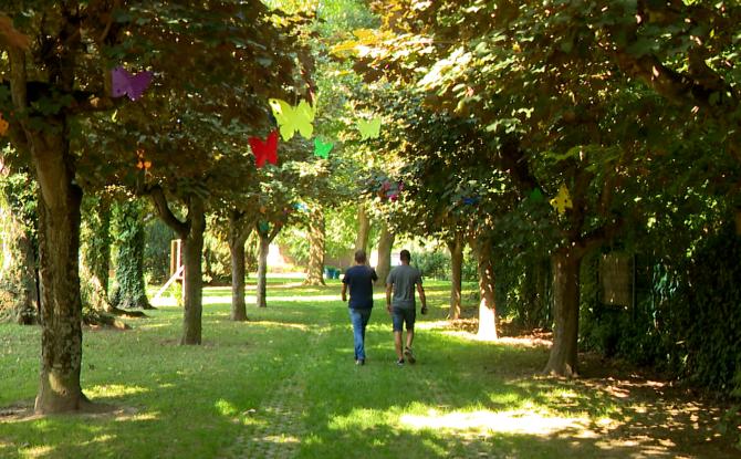 500 papillons dans les rues de Hannut