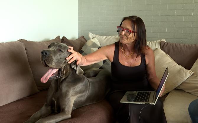 Voyager avec un chien XXL, c'est possible!