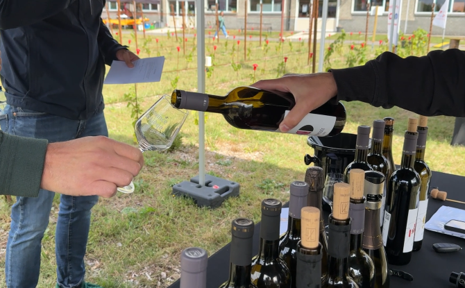 Le vin liégeois de plus en plus sur nos tables