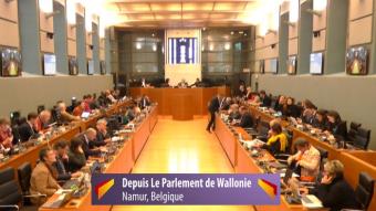 Questions parlementaires de la Région wallonne